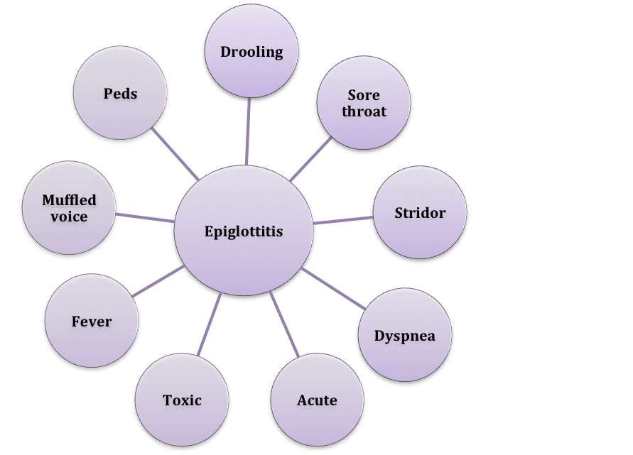 Symptoms of epiglottis