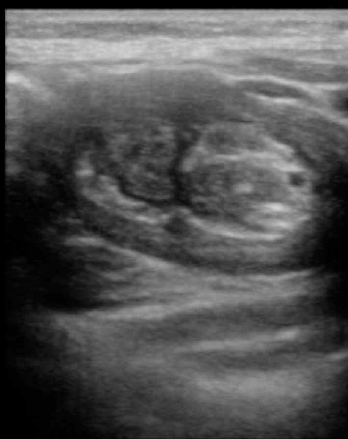 screen-shot-2016-11-04-at-11-48-30-am