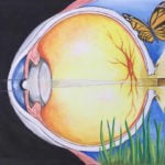 Perception Tharshika