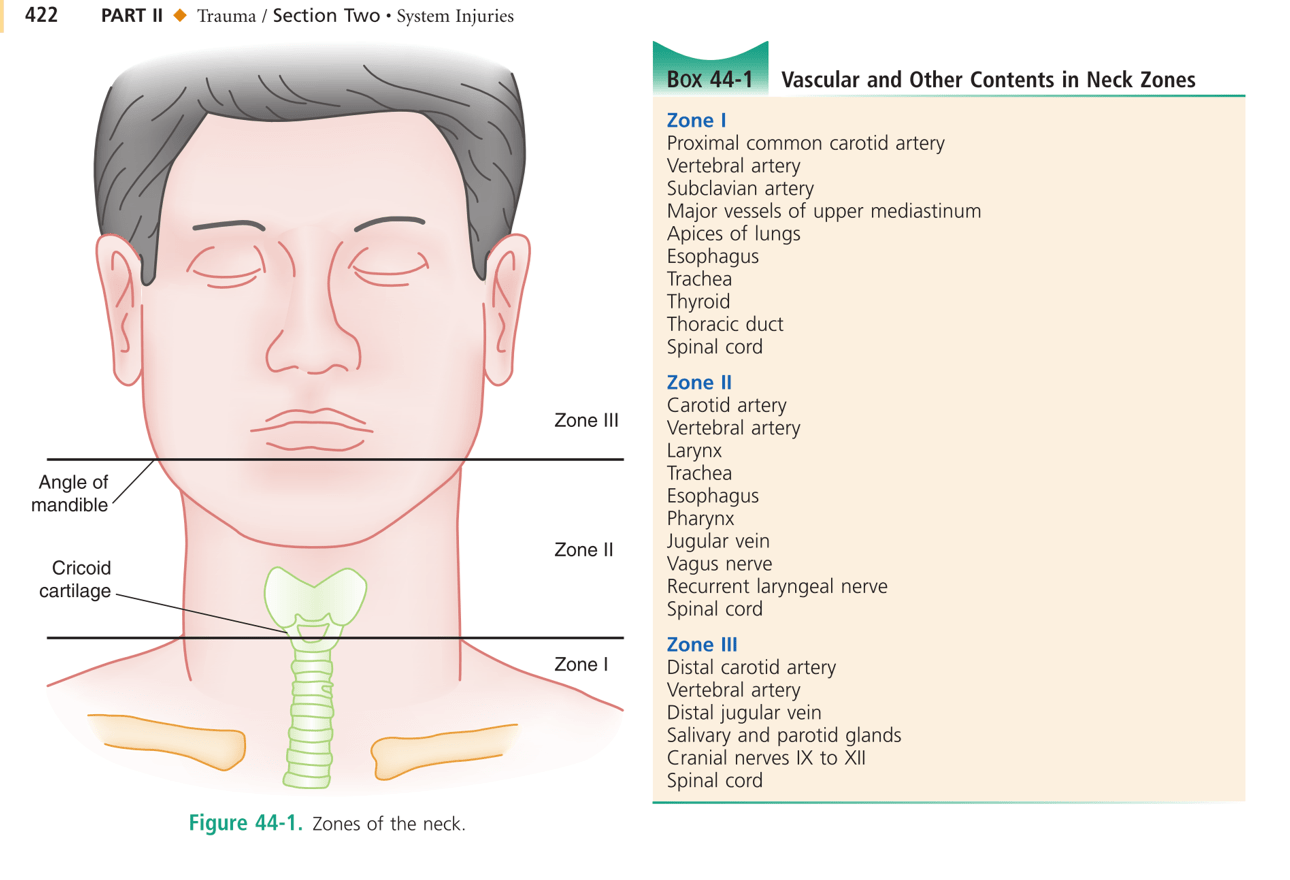 neck diagrams pro crack