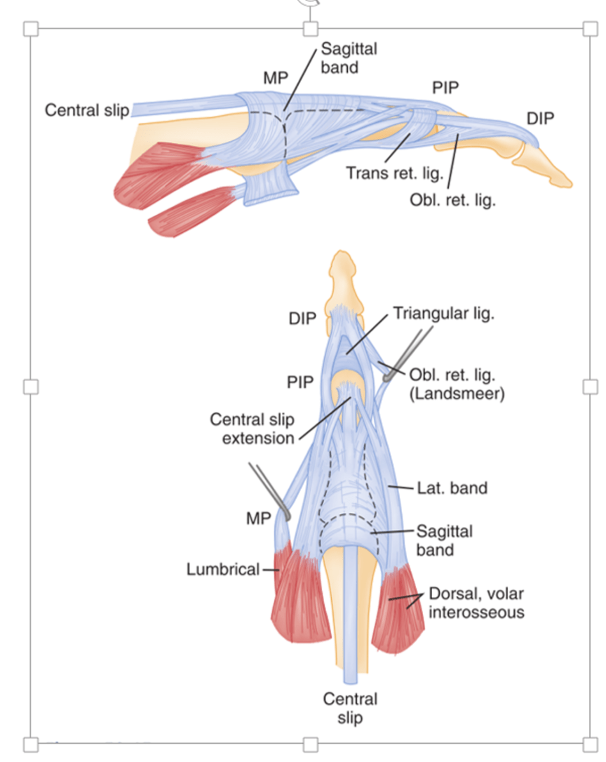 CRACKCast E050 Orthopedics Hand Injuries CanadiEM
