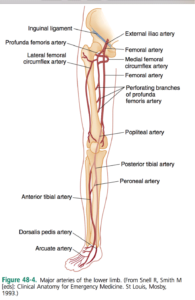 CRACKCast E048 – Peripheral Vascular Trauma - CanadiEM