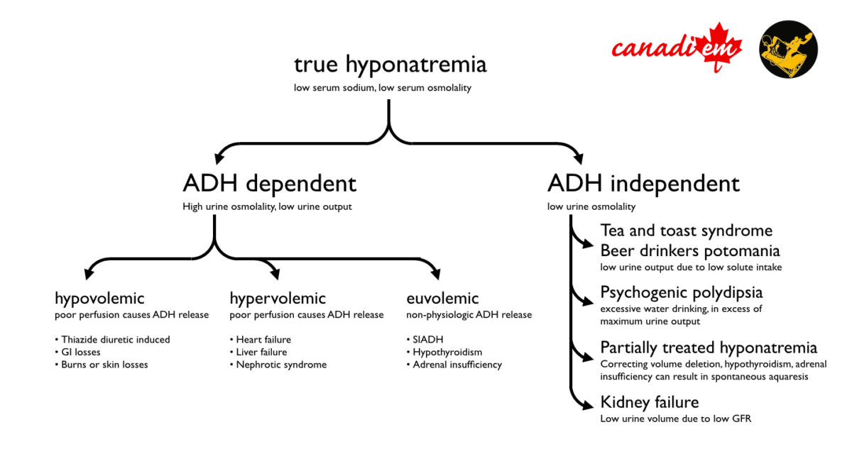When And How To Treat Hyponatremia In The Ed Canadiem