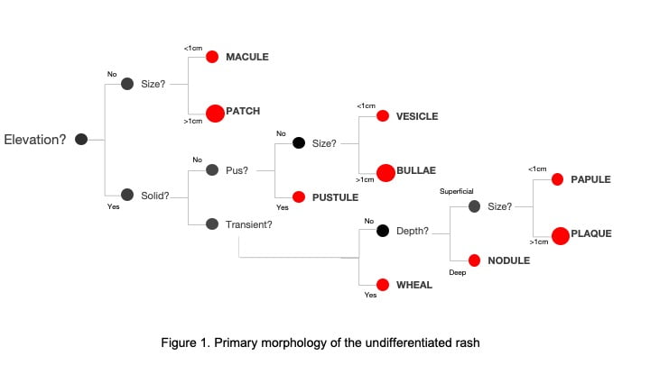 Describing a Rash - CanadiEM