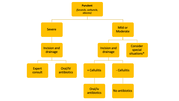 CanadiEM Frontline Primer - Skin and Soft Tissue Infections