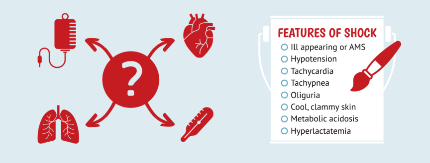 Undifferentiated shock